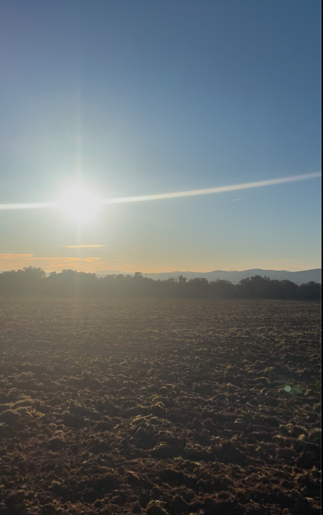 Domaine agricole 30 hectares avec batî constructible 