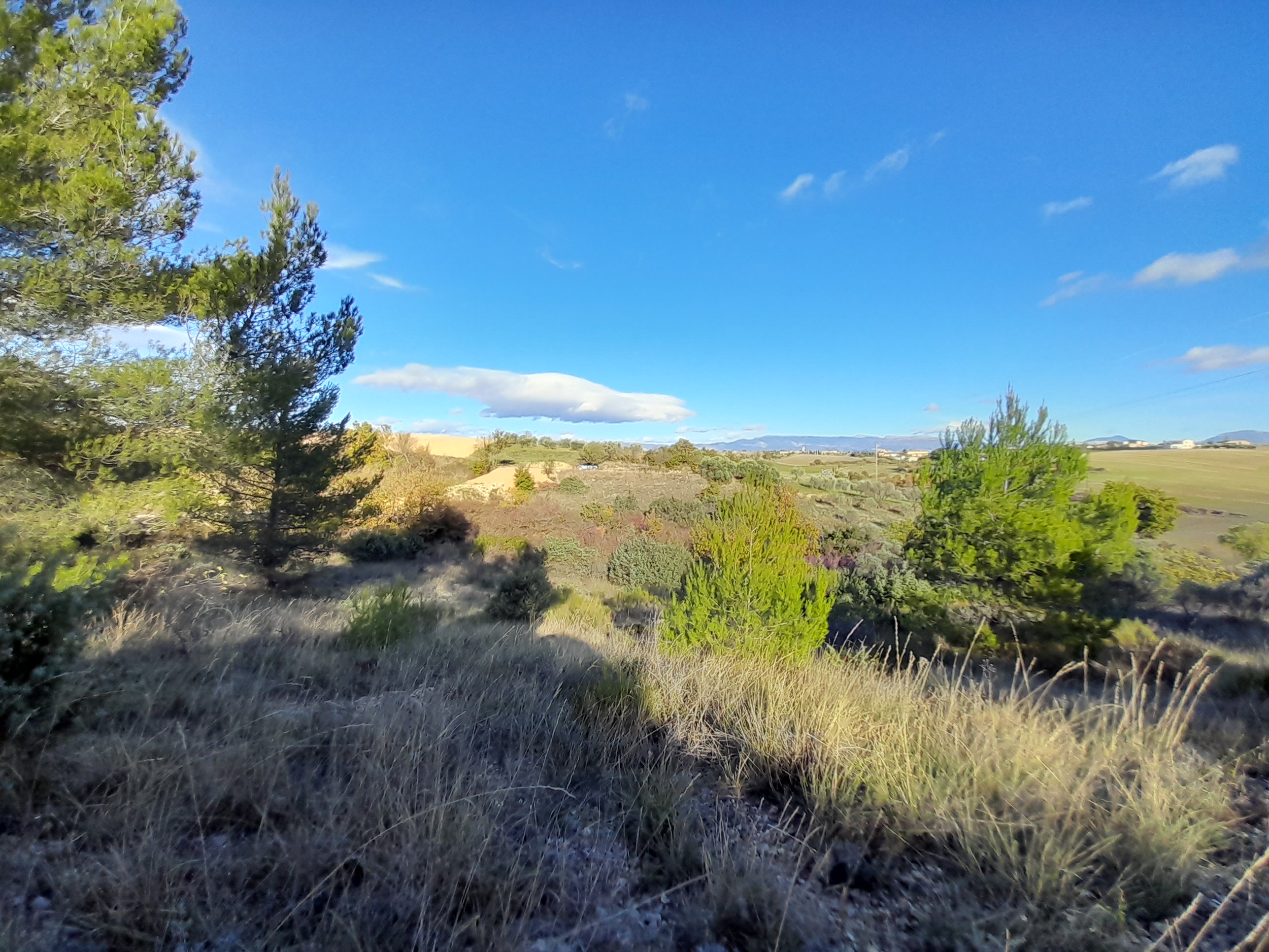 Terrain