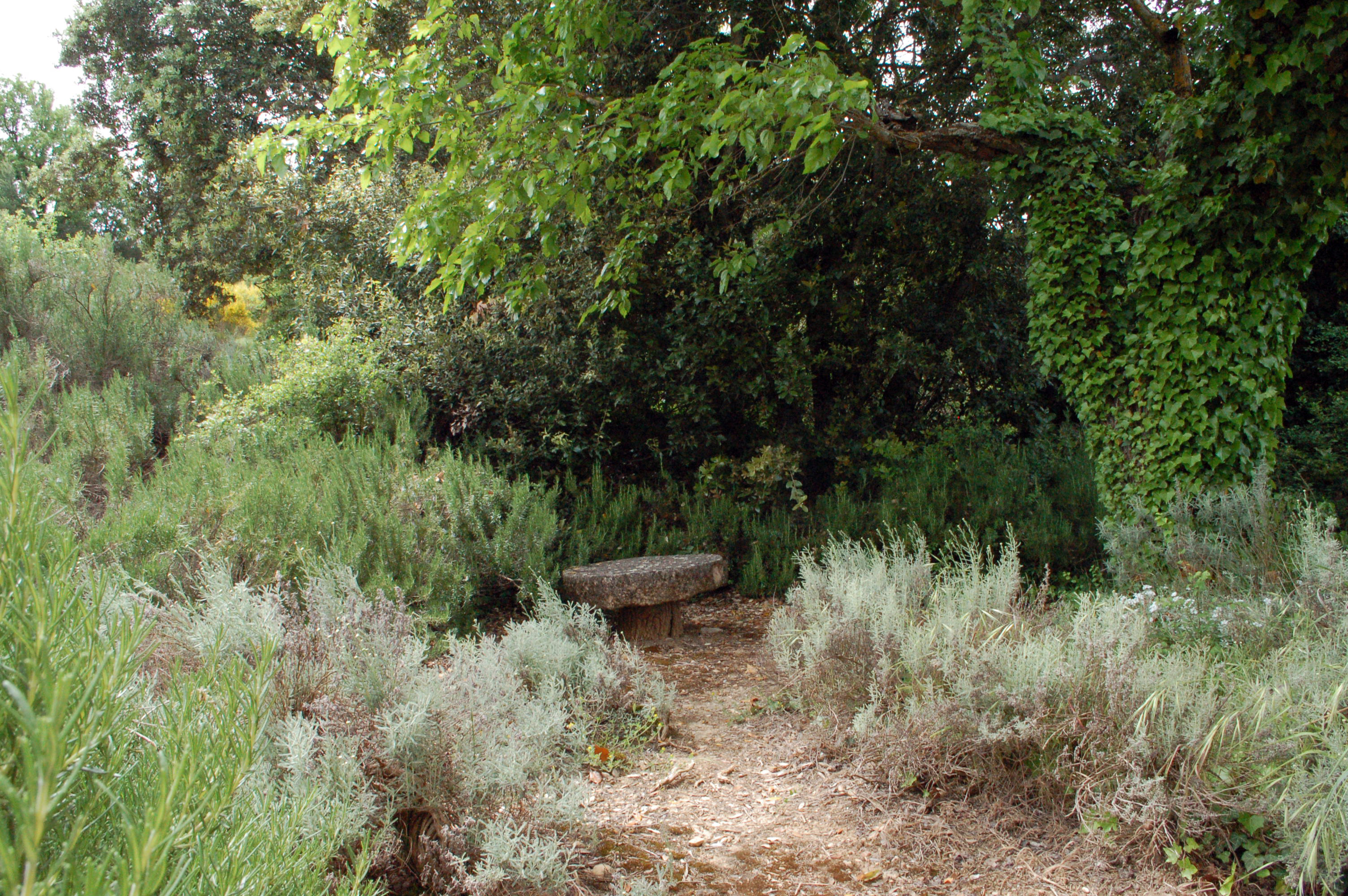 BASTIDE PROVENCALE - Allemagne en Provence - Réf. 517 - C - Photo 2